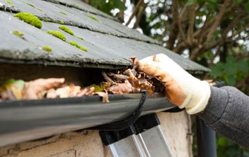 gutter cleaning Lower Buckland, Hampshire